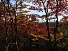 -常寂光寺