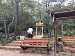 -大岭沟猕猴桃谷风景区