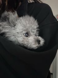 -一个差评成就的纹眉店