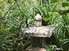 -大连植物园