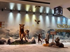 -SFC上影影城(港汇永华IMAX激光店)
