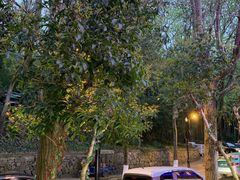 -国生茶庄·地道农家菜团建活动