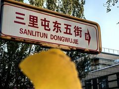 -三里屯东五街银杏大道