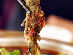 麻辣三角峰-胖大姐黄辣丁鱼庄(新津店)