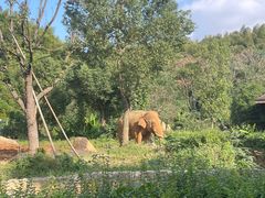 -宁波野生动物园