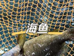 -新欢海鲜坊(赖屋店)