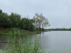 -东郊湿地公园