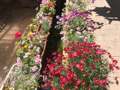 -浔岚云舍mist静谧观景美宿(丽江古城店)