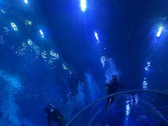 -成都浩海立方海洋公园