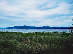 -洱海月湿地公园