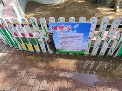 -竹泉村旅游度假区