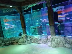 -沈阳海洋探索中心