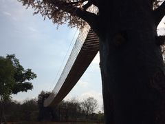 天适樱花悠乐园-天适樱花悠乐园