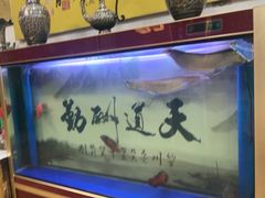 -伊帆食府·青海地方特色美食