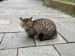 -人民公园-相亲角