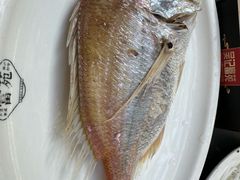 -吴记富苑(朝阳店)