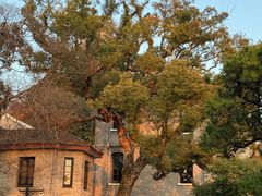 -江心屿景区