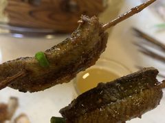 鳝鱼-晓靖轩烧烤(沙河风情店)