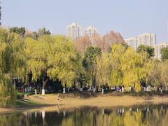 -堤角公园
