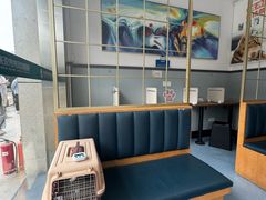 -伟伟宠物医院·瑞派猫友好医院·猫科(光谷店)