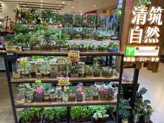 -凯德MALL(望京店)