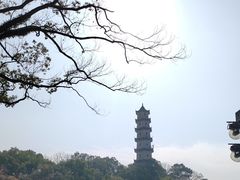 -江心屿景区