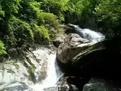 -黑河国家森林公园