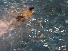 -碧水豪园·足浴·SPA·汗蒸·那须汤泉(中山东路店)
