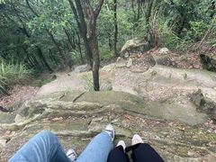 -南山植物园
