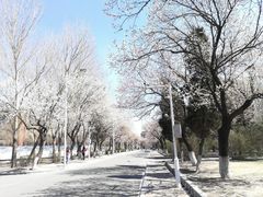 -吉林大学(南岭校区)