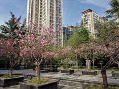 -木塔寺遗址生态公园