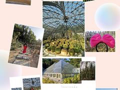 -深圳仙湖植物园