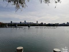 -济南大明湖景区