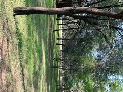-秦始皇帝陵博物院(兵马俑)
