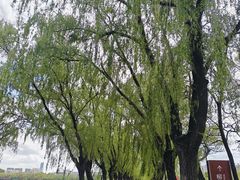 -北陵公园