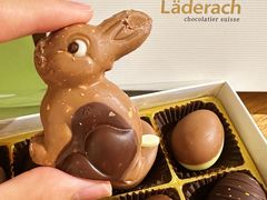 -Laderach 莱德拉(上海环贸iapm店)