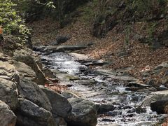 -龙道沟景区