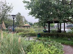 -成飞公园