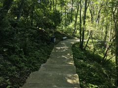 -中国花亭湖风景名胜区-西风禅寺