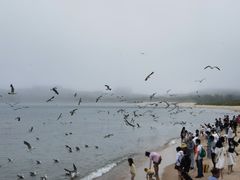 -海驴岛(荣成市)