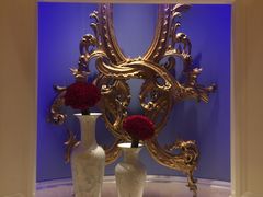 -拉斯维加斯永利酒店