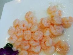 -老人和饭店(淮海中路店)