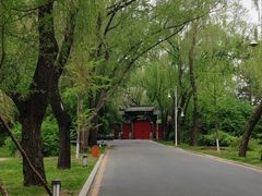 -北陵公园