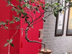 -龙悦湾酒家·八阵鱼生·渔人码头店