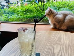 -咖法森林·咖啡  酒吧(天河店)