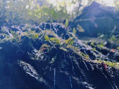-抚仙湖禄充风景区