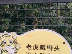 -深圳野生动物园
