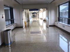 -首都医科大学附属北京天坛医院