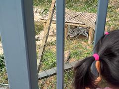 -石家庄市动物园