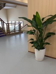 体验后-上海伊莱美医疗美容医院